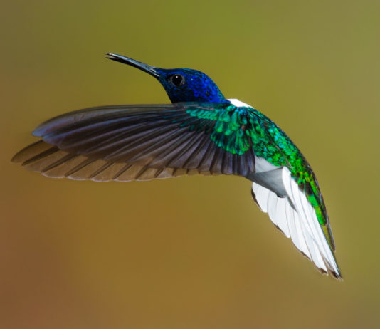 How to win an argument: lesson #17, Dad