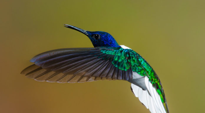 How to win an argument: lesson #17, Dad