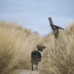 Photo by Simon Hesthaven