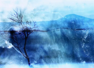 Arctic