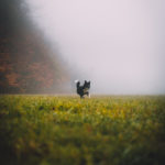 Photo by Tadeusz Lakota