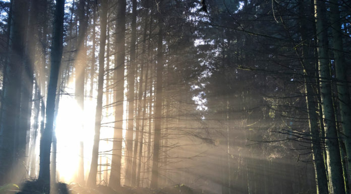 Tuesday’s Stone (Six Of Stars.)