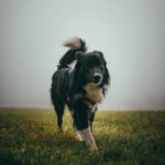 Photo by Tadeusz Lakota