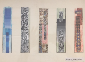 Electric pH Acid Test (collage by Bernie Langs)