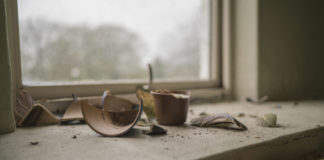 The House on Tilden Avenue