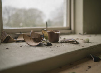 The House on Tilden Avenue