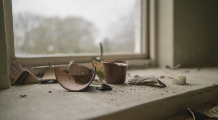 The House on Tilden Avenue