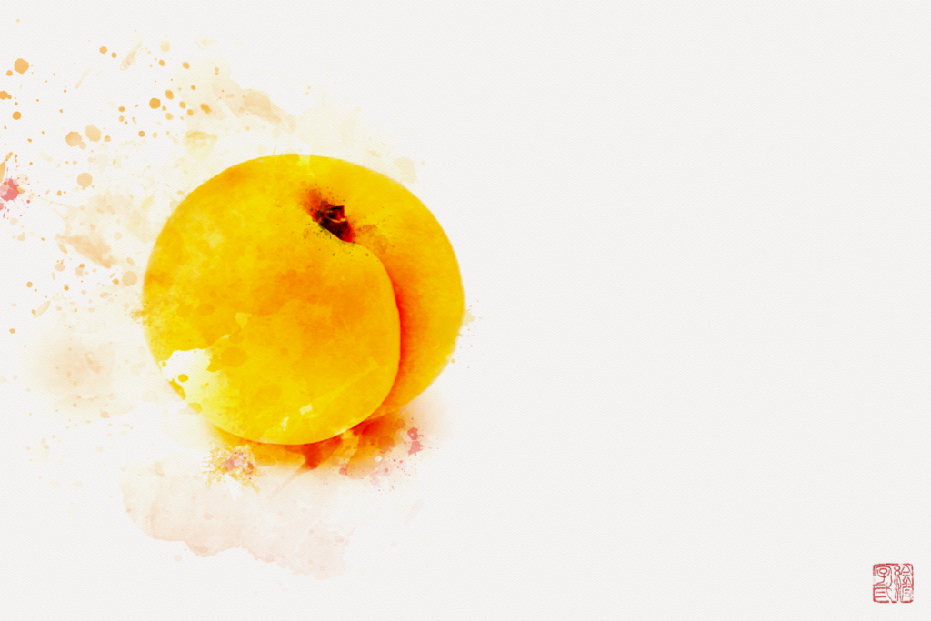 Apricot