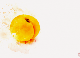 Apricot