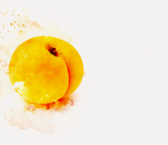 Apricot
