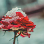 Photo by Andrii Podilnyk
