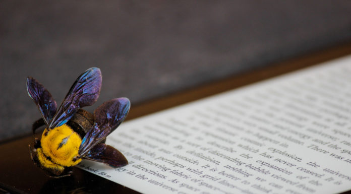 He Will Build Wings from Sheets of Paper