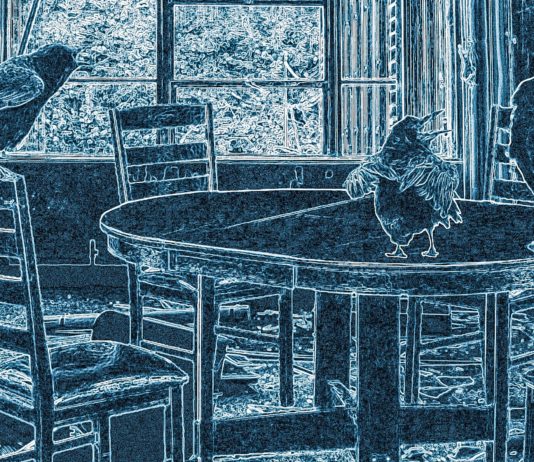 The Dictator’s Rant