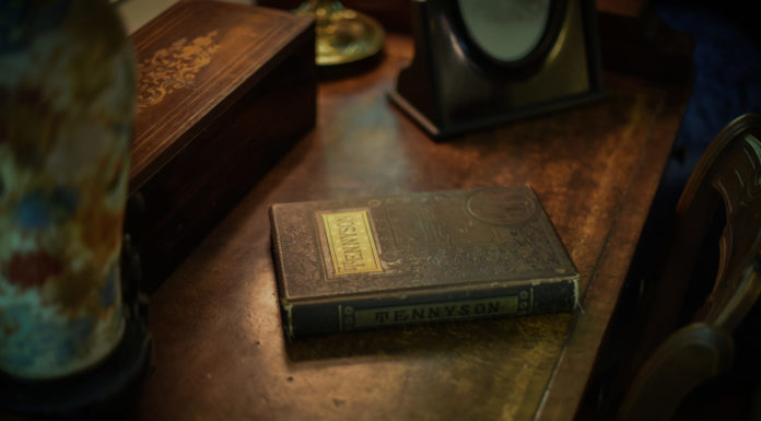 Anna and the Scourge