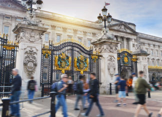 My Co-Workers Are All Ghosts