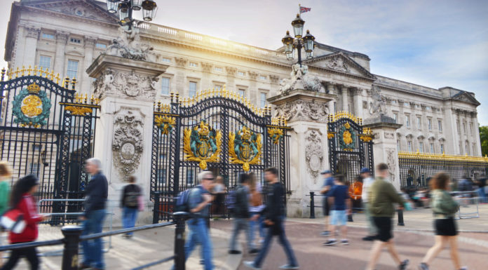 My Co-Workers Are All Ghosts