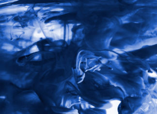 birds and other fly creatures