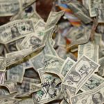 Photo by Olga DeLawrence