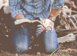 I felt so secure I even wanted the flies there