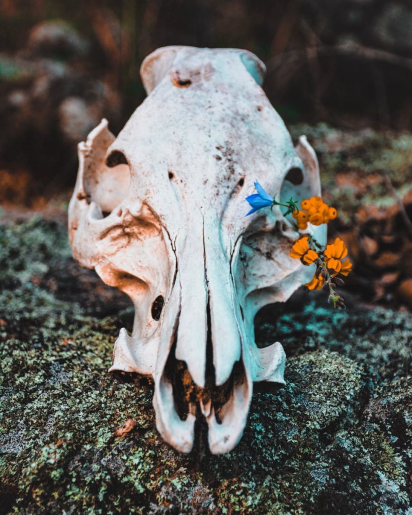 What remains behind