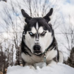 Photo by Auréanne Mailhiot