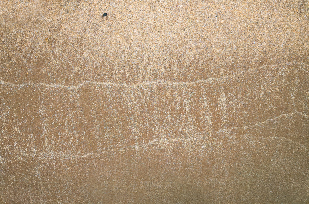 the canvas of the covenant
