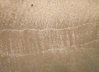 the canvas of the covenant