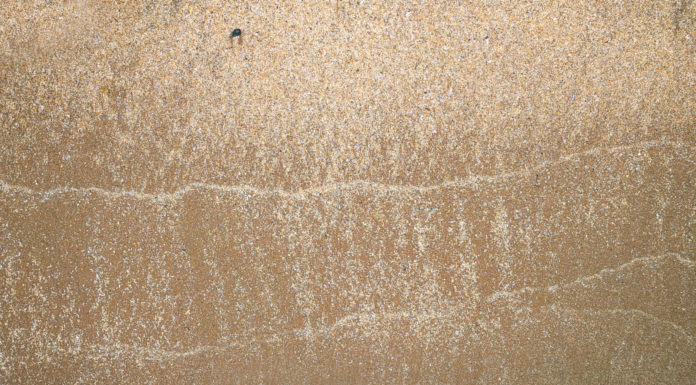 the canvas of the covenant