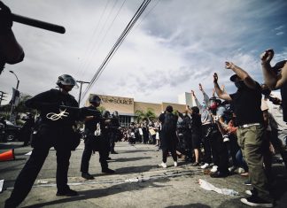 blackthren & brownthren