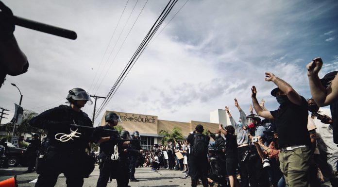 blackthren & brownthren