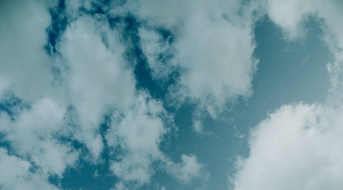 Since then I’ve never said she died