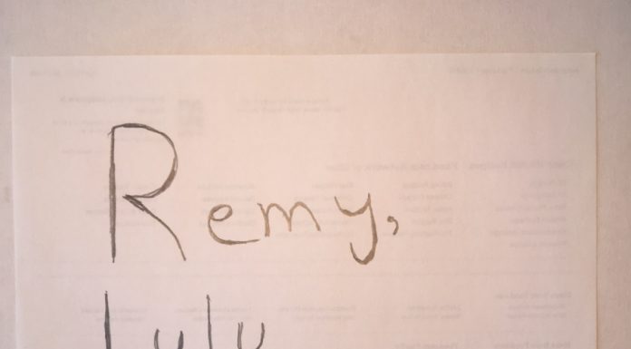 REMY, LULU, AND THE BIG NOSE