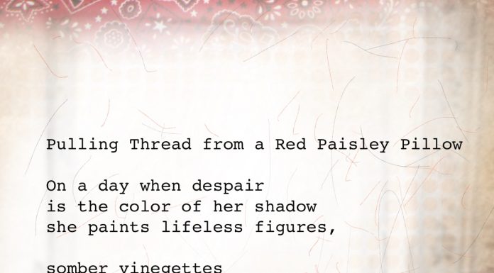 Pulling Thread from a Red Paisley Pillow