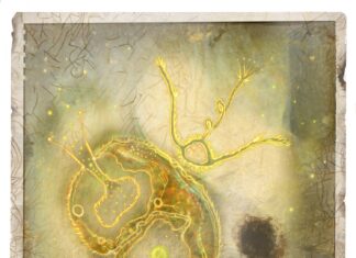 Snapshots of Creation- Series #2