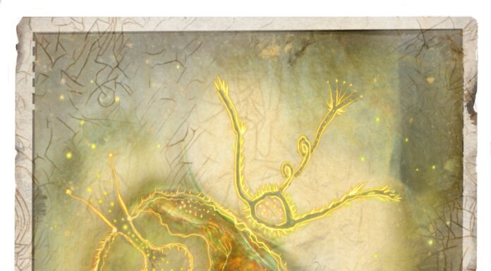 Snapshots of Creation- Series #2