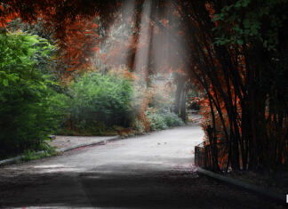 The truck has a large red logo on its side