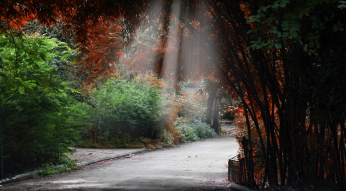 The truck has a large red logo on its side
