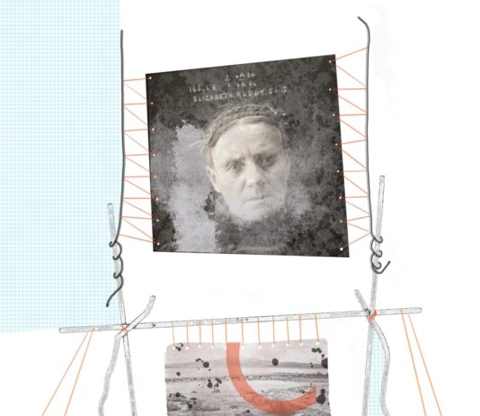 The Language of Objects—Digital Series