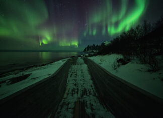 Heartsongs—an anagram