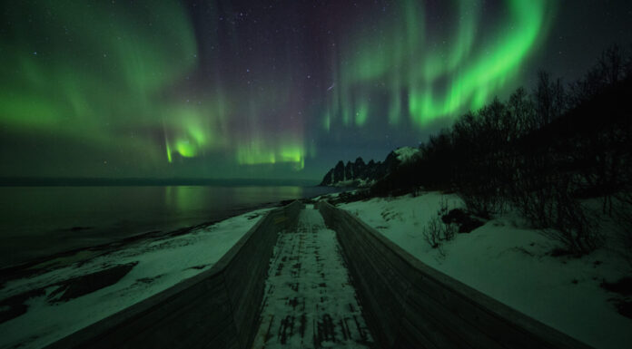 Heartsongs—an anagram