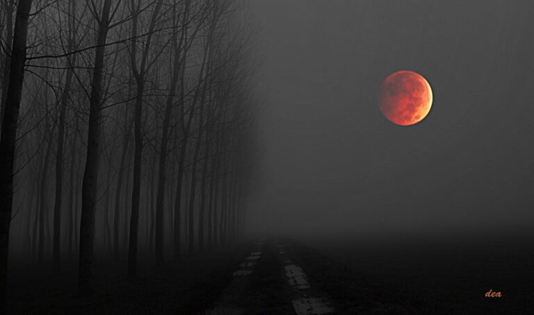 Fire Moon Rising