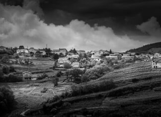 How to Survive an Apocalypse