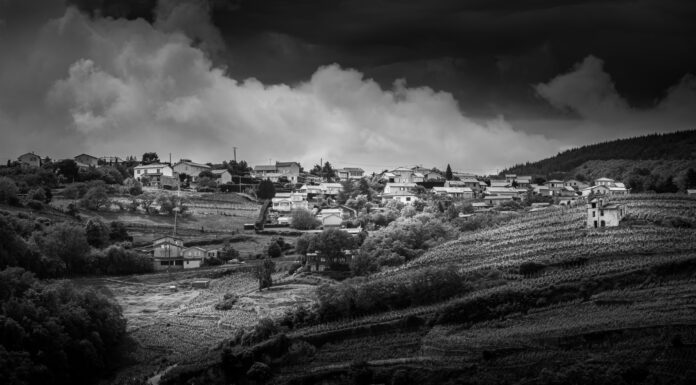 How to Survive an Apocalypse