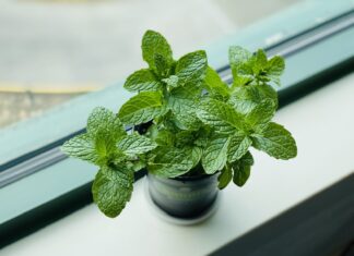 This is me not exaggerating