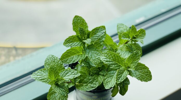 This is me not exaggerating