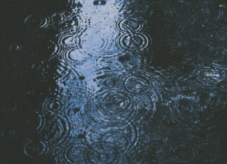 Changing Shapes of Rain