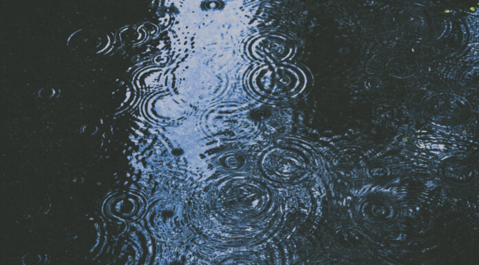 Changing Shapes of Rain