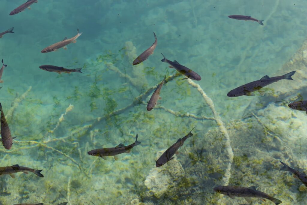 Don’t Wear It Out