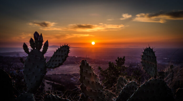 Someone puts out a light