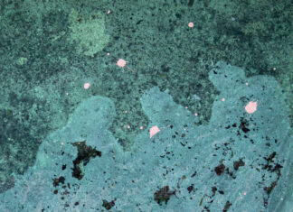 Highlights 2020: New Photography